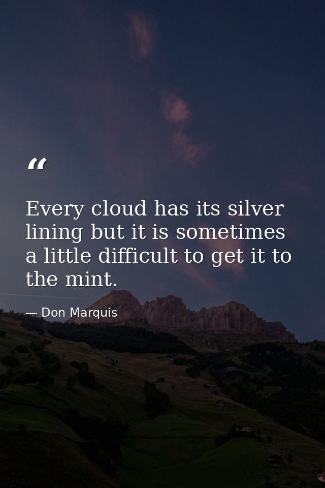 Every cloud has its silver lining but it is sometimes a little difficult to get it to the mint. — Don Marquis
