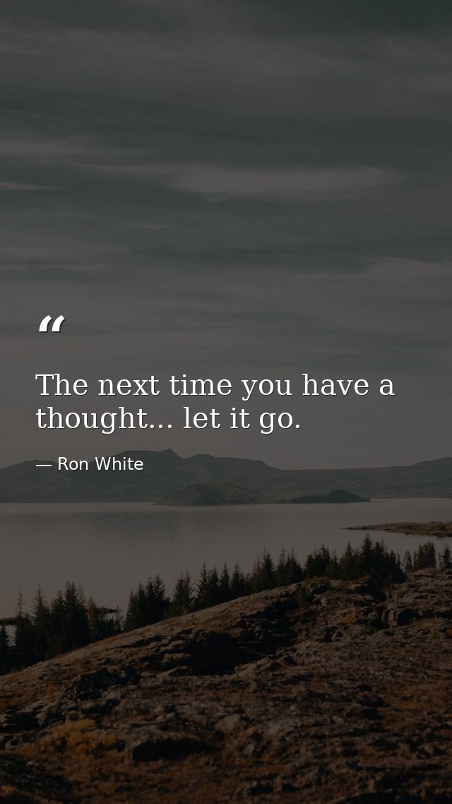 The next time you have a thought... let it go. — Ron White