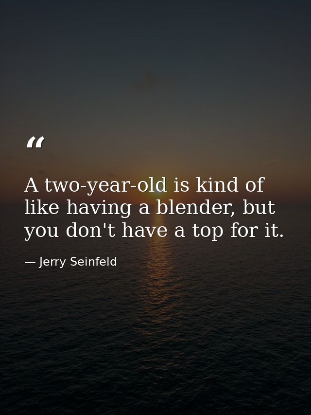 A two-year-old is kind of like having a blender, but you don't have a top for it. — Jerry Seinfeld