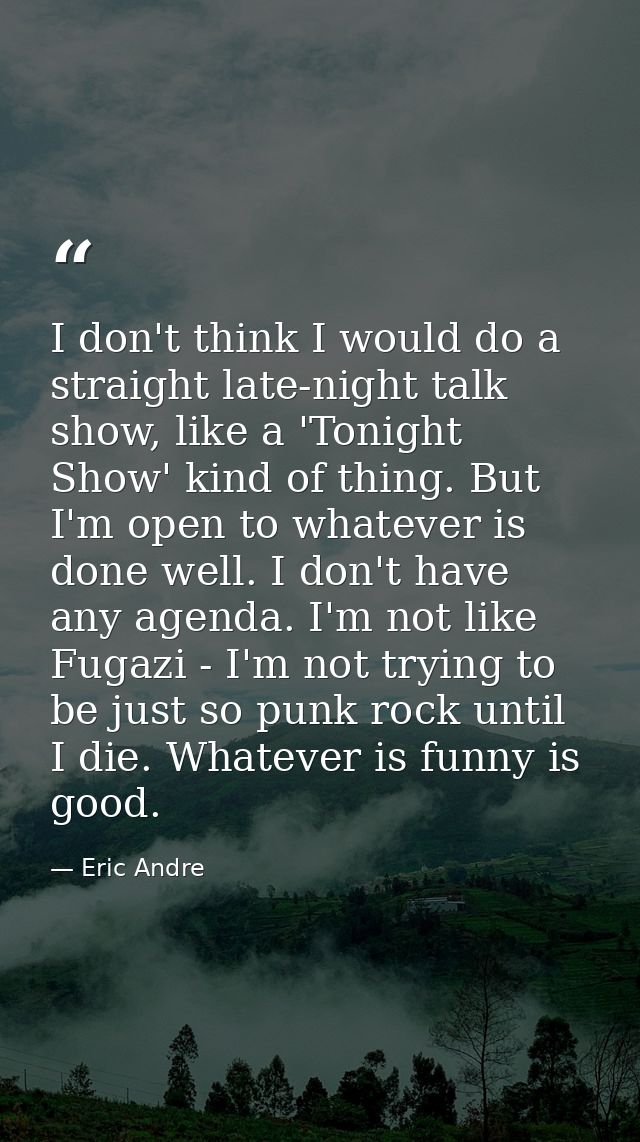 I don't think I would do a straight late-night talk show, like a 'Tonight Show' kind of thing. But I'm open to whatever  — Eric Andre