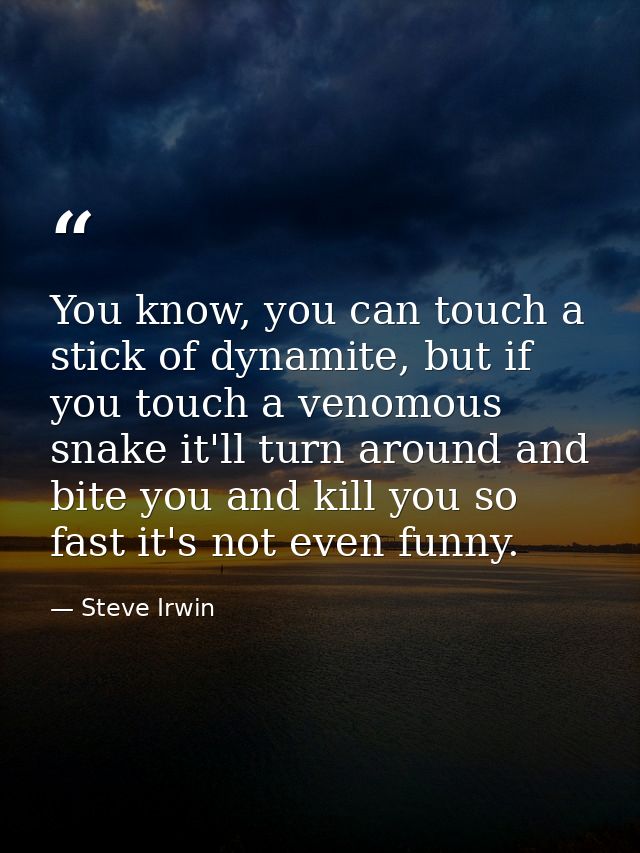 You know, you can touch a stick of dynamite, but if you touch a venomous snake it'll turn around and bite you and kill y — Steve Irwin