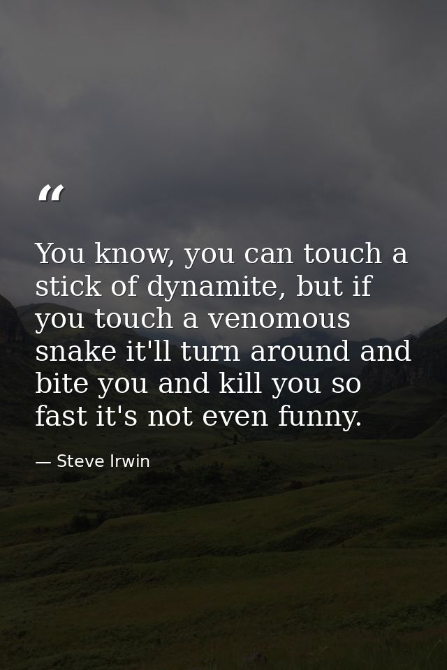 You know, you can touch a stick of dynamite, but if you touch a venomous snake it'll turn around and bite you and kill y — Steve Irwin