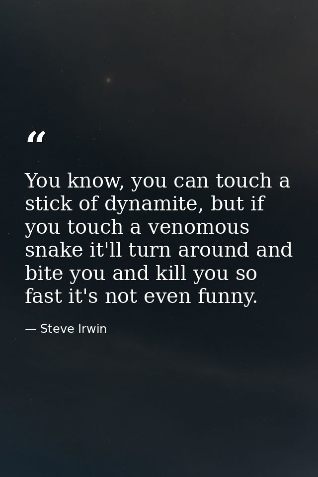 You know, you can touch a stick of dynamite, but if you touch a venomous snake it'll turn around and bite you and kill y — Steve Irwin