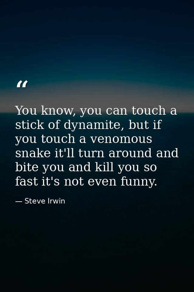 You know, you can touch a stick of dynamite, but if you touch a venomous snake it'll turn around and bite you and kill y — Steve Irwin