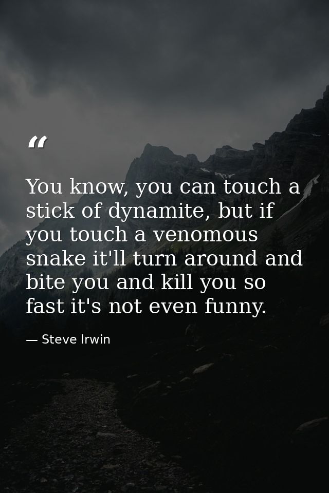 You know, you can touch a stick of dynamite, but if you touch a venomous snake it'll turn around and bite you and kill y — Steve Irwin