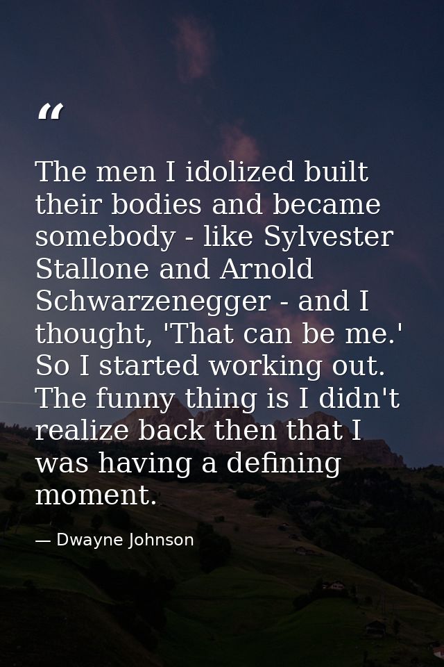 The men I idolized built their bodies and became somebody - like Sylvester Stallone and Arnold Schwarzenegger - and I th — Dwayne Johnson