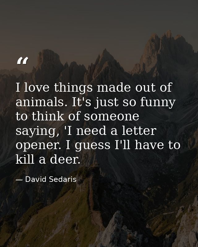 I love things made out of animals. It's just so funny to think of someone saying, 'I need a letter opener. I guess I'll  — David Sedaris