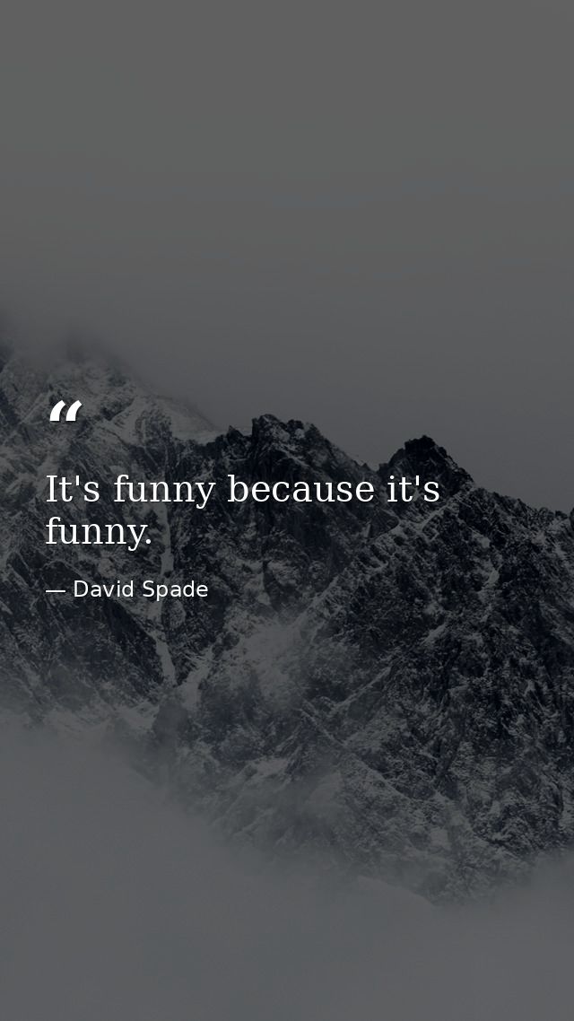 It's funny because it's funny. — David Spade