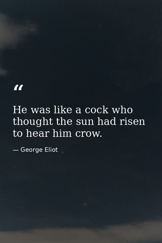 He was like a cock who thought the sun had risen to hear him crow. — George Eliot