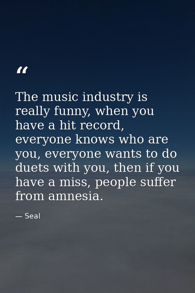 The music industry is really funny, when you have a hit record, everyone knows who are you, everyone wants to do duets w — Seal