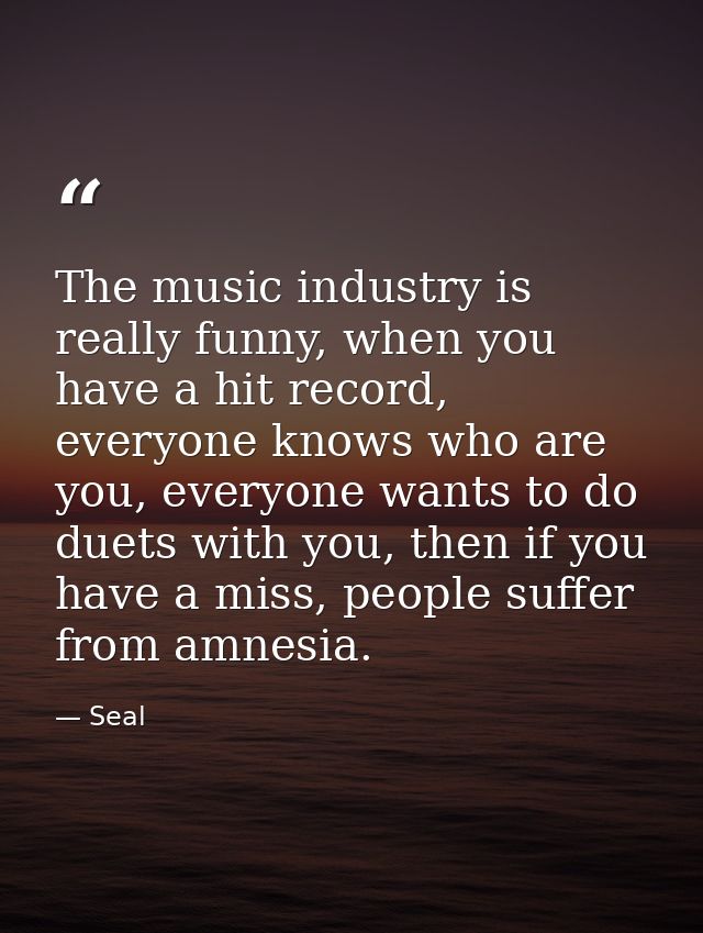 The music industry is really funny, when you have a hit record, everyone knows who are you, everyone wants to do duets w — Seal