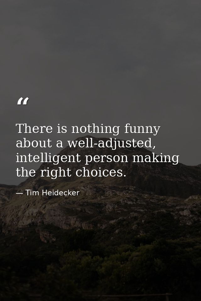 There is nothing funny about a well-adjusted, intelligent person making the right choices. — Tim Heidecker