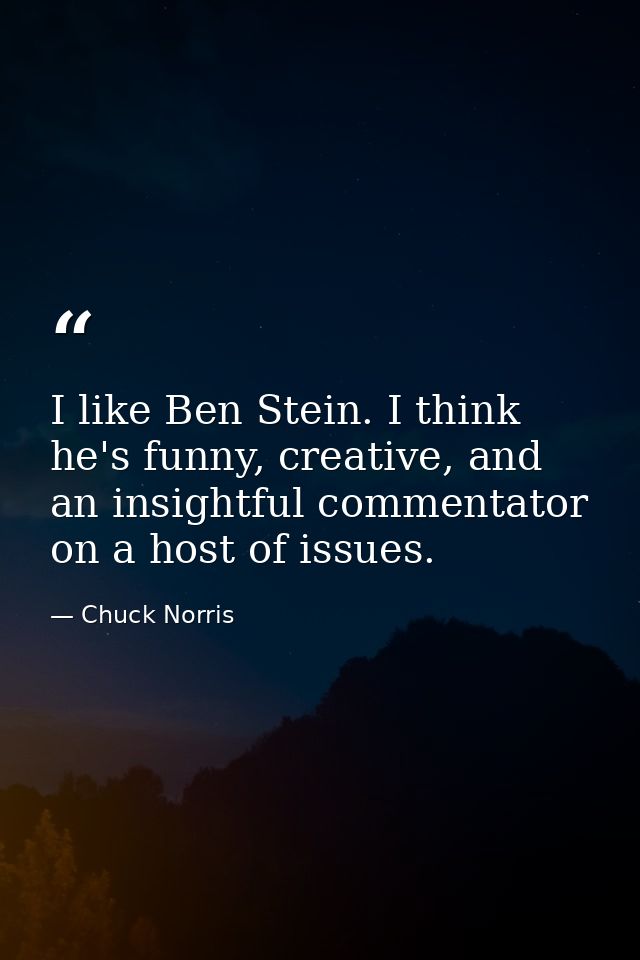 I like Ben Stein. I think he's funny, creative, and an insightful commentator on a host of issues. — Chuck Norris