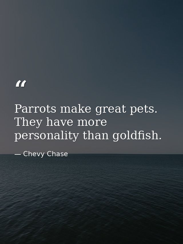 Parrots make great pets. They have more personality than goldfish. — Chevy Chase