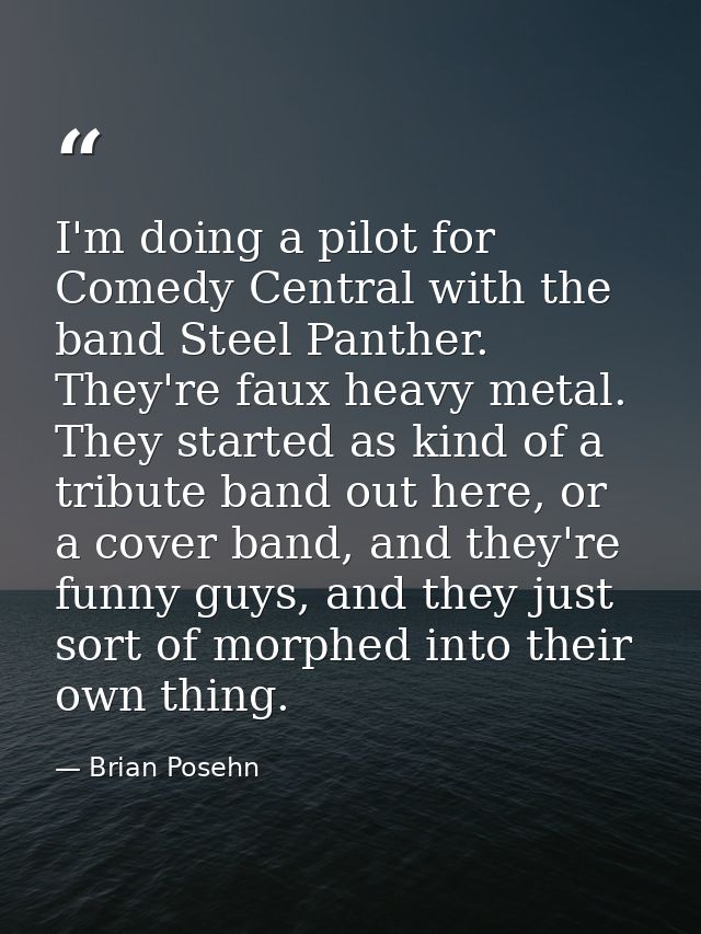 I'm doing a pilot for Comedy Central with the band Steel Panther. They're faux heavy metal. They started as kind of a tr — Brian Posehn