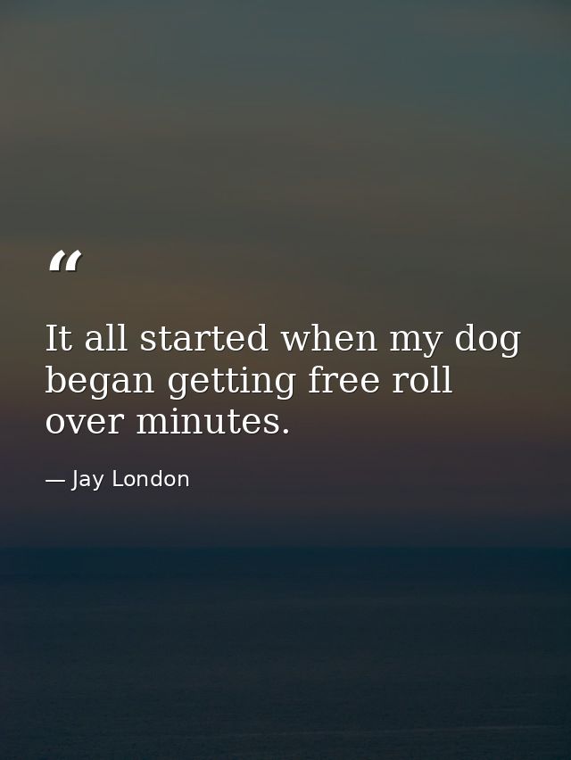 It all started when my dog began getting free roll over minutes. — Jay London