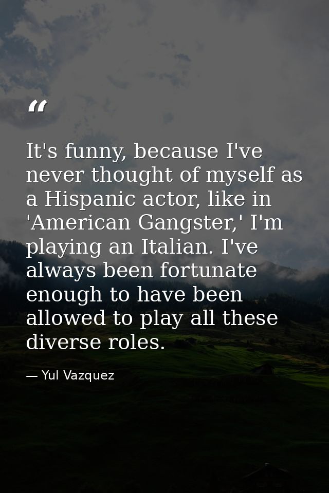It's funny, because I've never thought of myself as a Hispanic actor, like in 'American Gangster,' I'm playing an Italia — Yul Vazquez