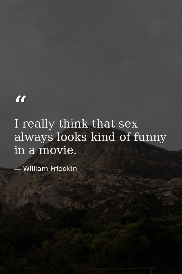 I really think that sex always looks kind of funny in a movie. — William Friedkin