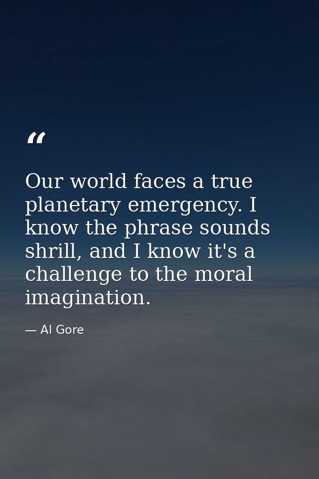 Our world faces a true planetary emergency. I know the phrase sounds shrill, and I know it's a challenge to the moral im — Al Gore