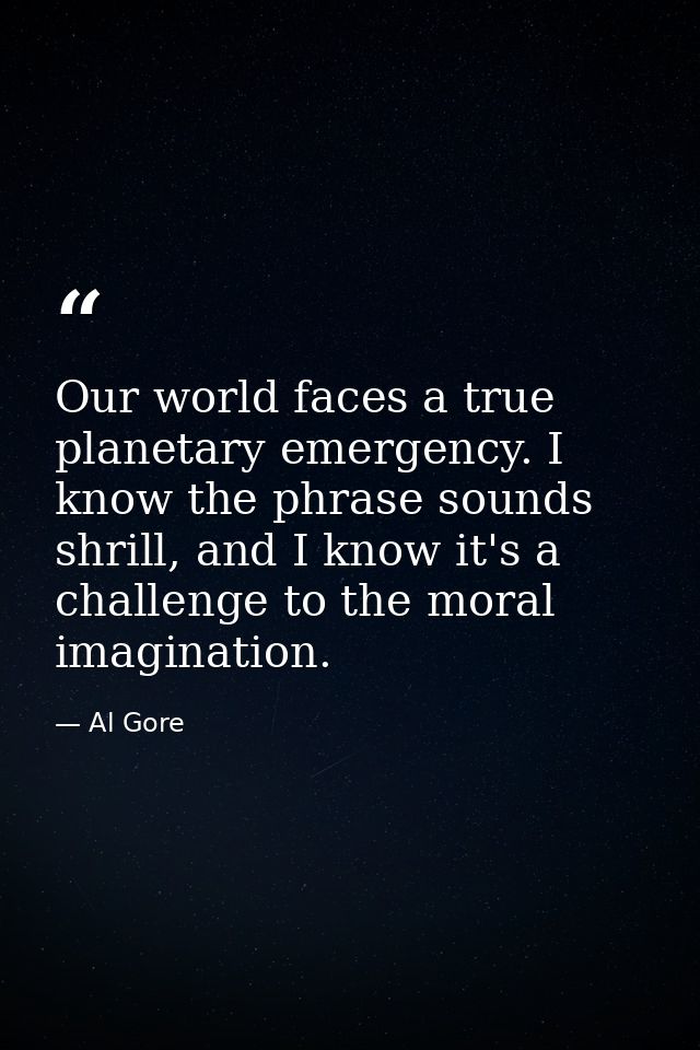 Our world faces a true planetary emergency. I know the phrase sounds shrill, and I know it's a challenge to the moral im — Al Gore