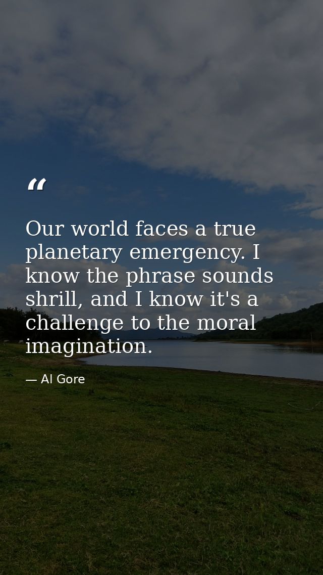 Our world faces a true planetary emergency. I know the phrase sounds shrill, and I know it's a challenge to the moral im — Al Gore