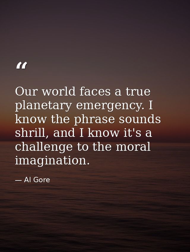 Our world faces a true planetary emergency. I know the phrase sounds shrill, and I know it's a challenge to the moral im — Al Gore