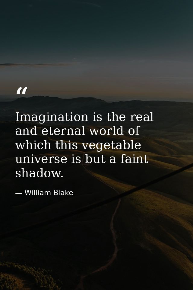 Imagination is the real and eternal world of which this vegetable universe is but a faint shadow. — William Blake