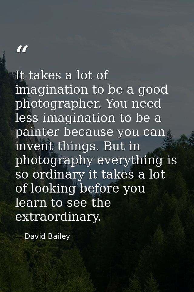 It takes a lot of imagination to be a good photographer. You need less imagination to be a painter because you can inven — David Bailey