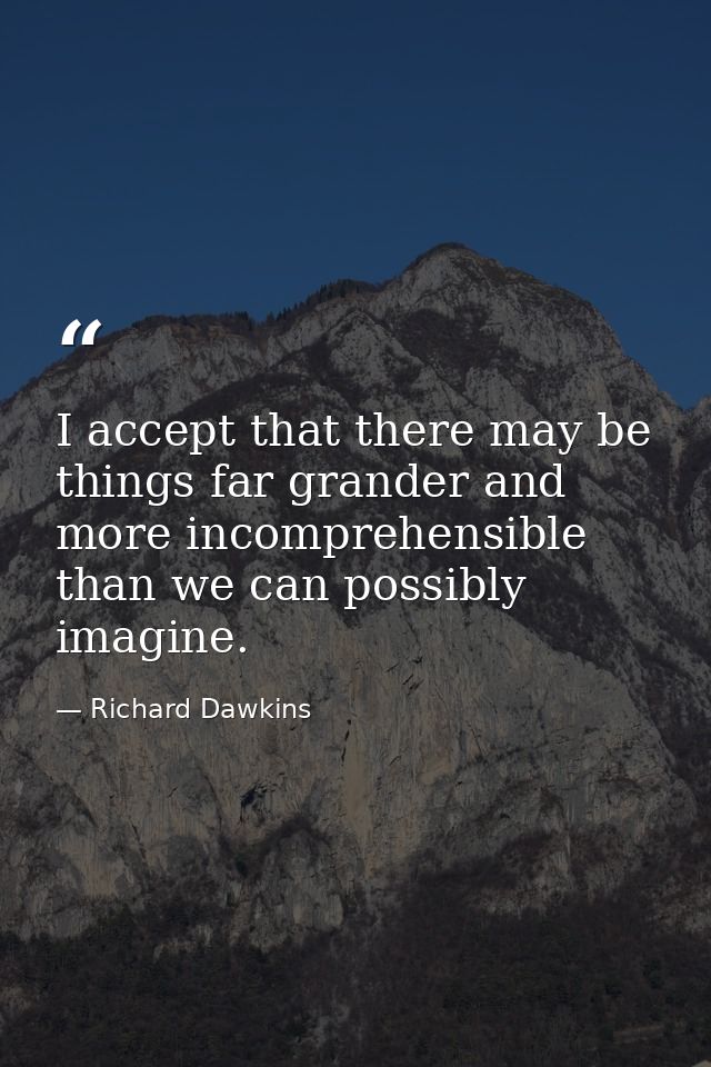 I accept that there may be things far grander and more incomprehensible than we can possibly imagine. — Richard Dawkins