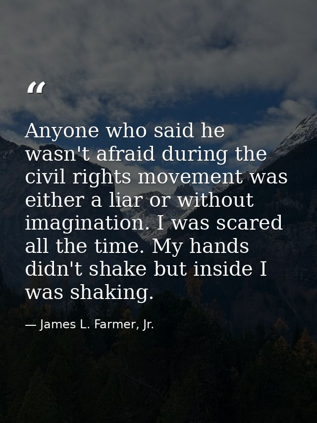 Anyone who said he wasn't afraid during the civil rights movement was either a liar or without imagination. I was scared — James L. Farmer, Jr.