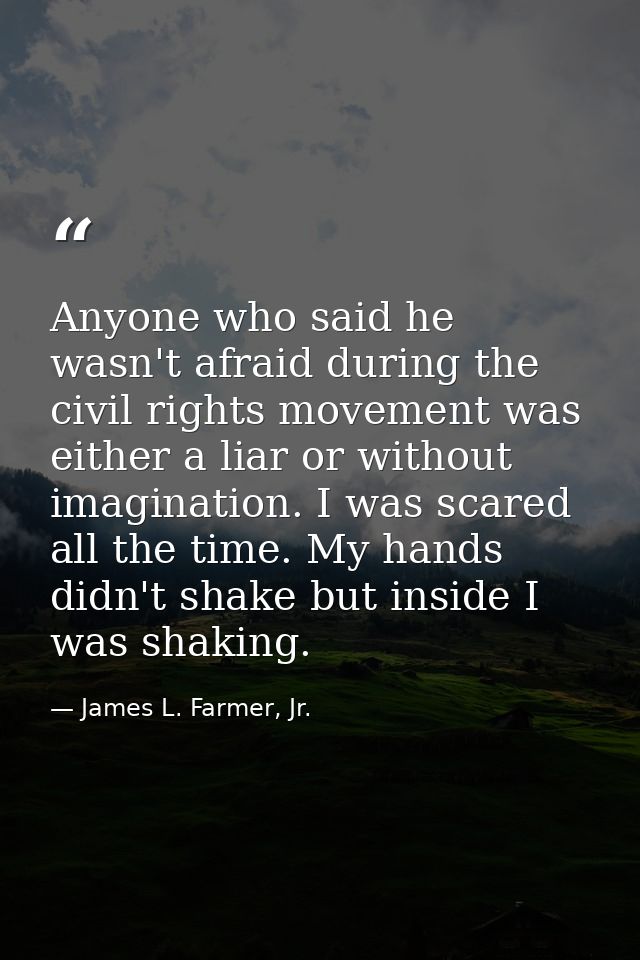 Anyone who said he wasn't afraid during the civil rights movement was either a liar or without imagination. I was scared — James L. Farmer, Jr.
