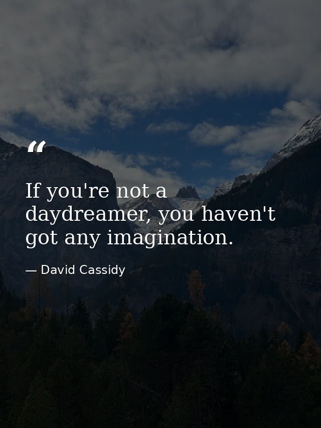 If you're not a daydreamer, you haven't got any imagination. — David Cassidy