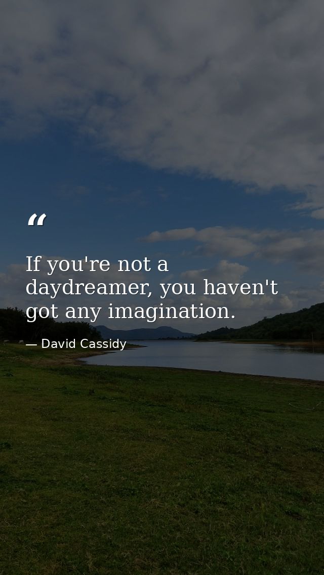 If you're not a daydreamer, you haven't got any imagination. — David Cassidy