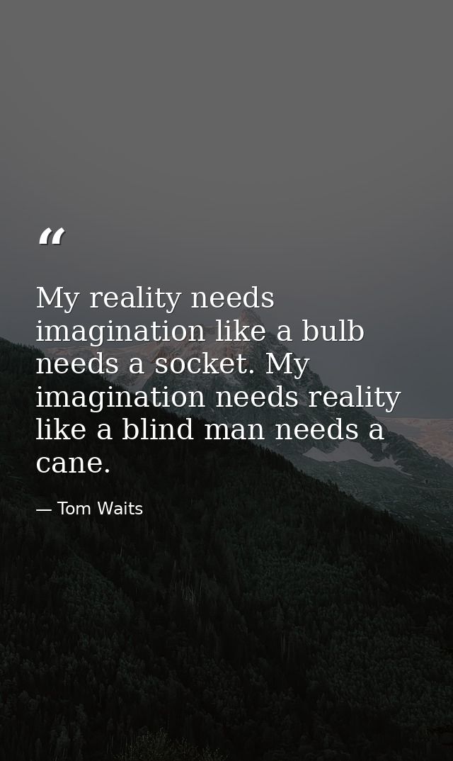 My reality needs imagination like a bulb needs a socket. My imagination needs reality like a blind man needs a cane. — Tom Waits