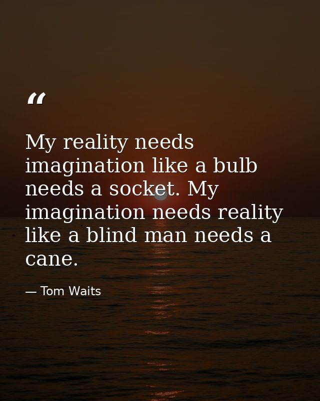 My reality needs imagination like a bulb needs a socket. My imagination needs reality like a blind man needs a cane. — Tom Waits