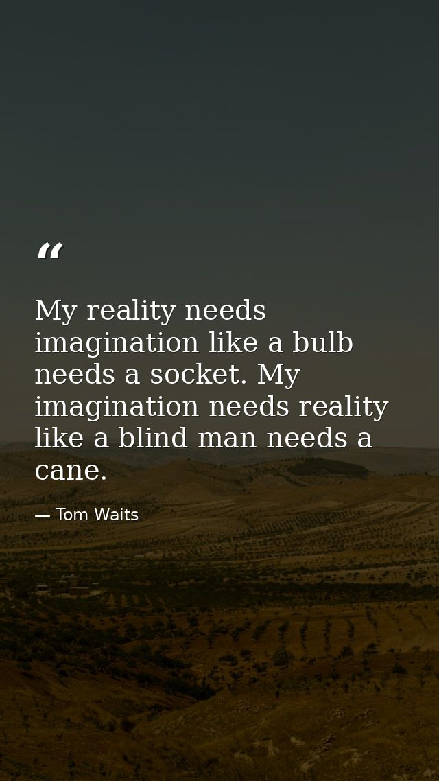 My reality needs imagination like a bulb needs a socket. My imagination needs reality like a blind man needs a cane. — Tom Waits