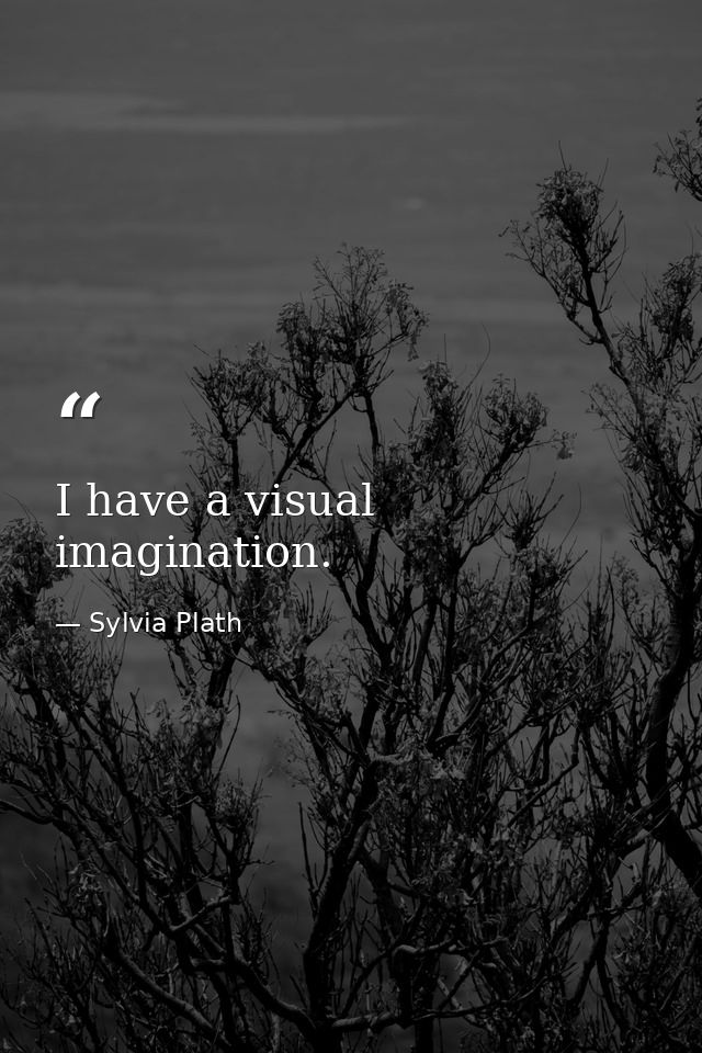 I have a visual imagination. — Sylvia Plath