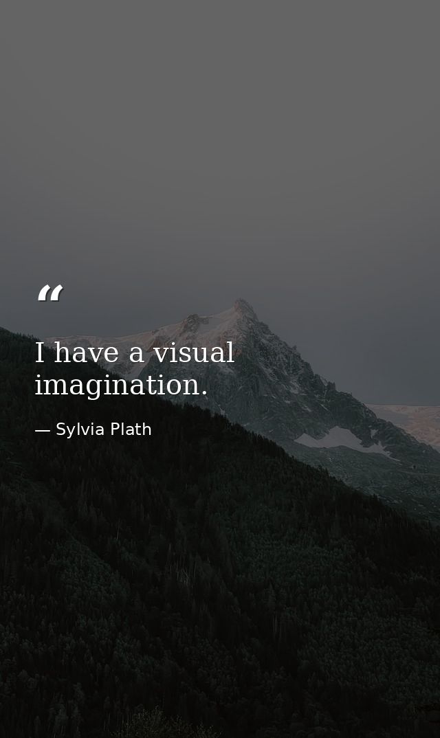 I have a visual imagination. — Sylvia Plath