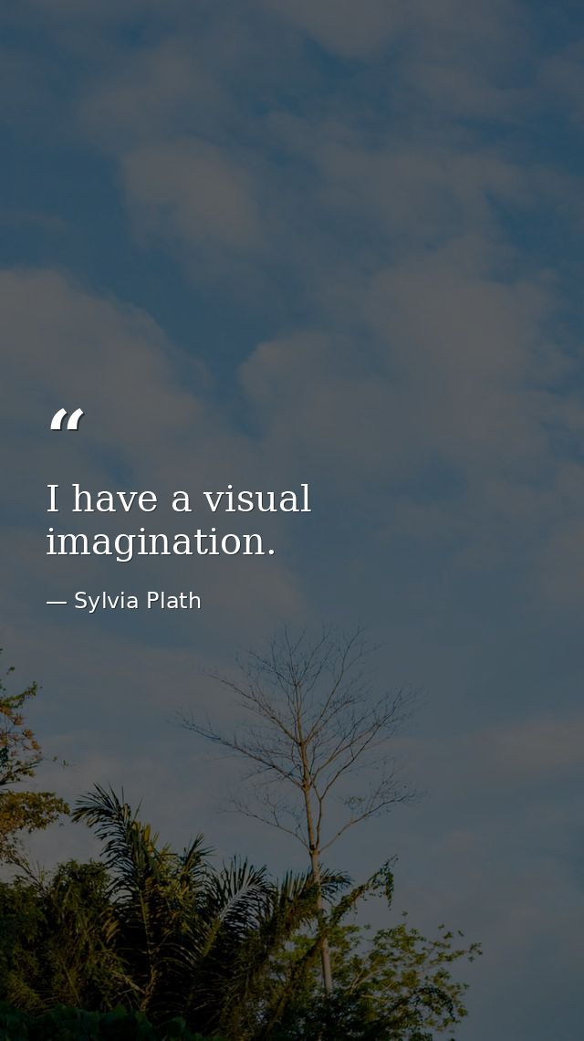 I have a visual imagination. — Sylvia Plath