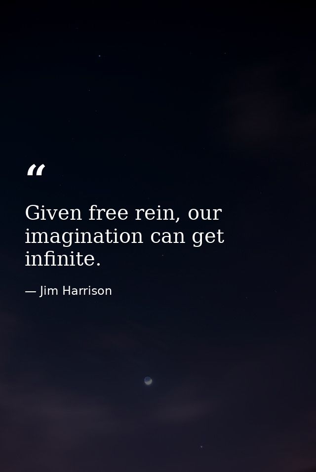 Given free rein, our imagination can get infinite. — Jim Harrison