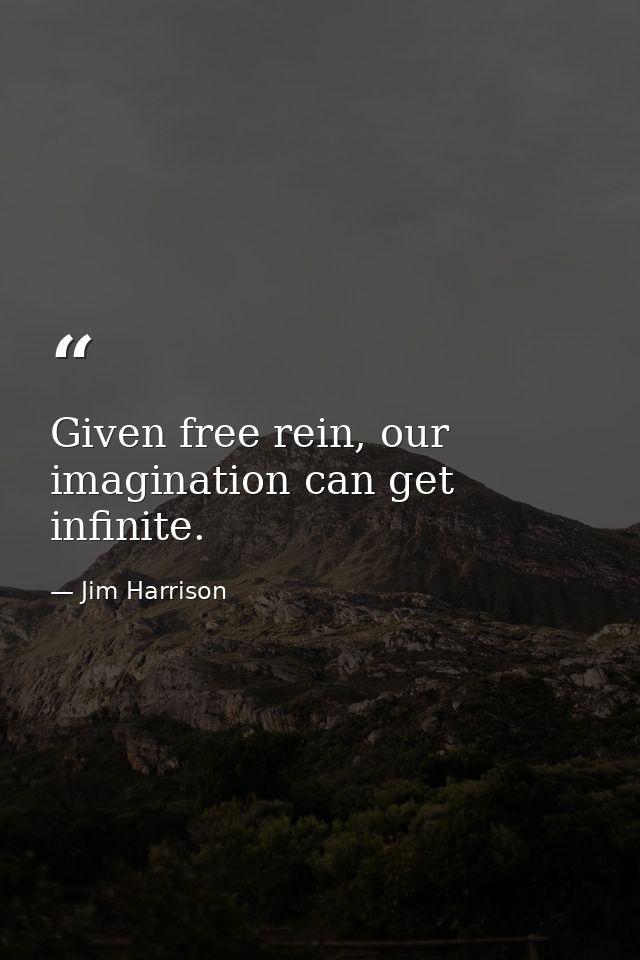Given free rein, our imagination can get infinite. — Jim Harrison