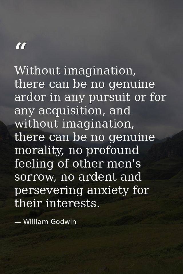 Without imagination, there can be no genuine ardor in any pursuit or for any acquisition, and without imagination, there — William Godwin