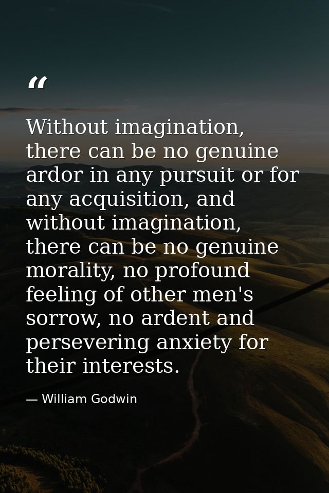 Without imagination, there can be no genuine ardor in any pursuit or for any acquisition, and without imagination, there — William Godwin