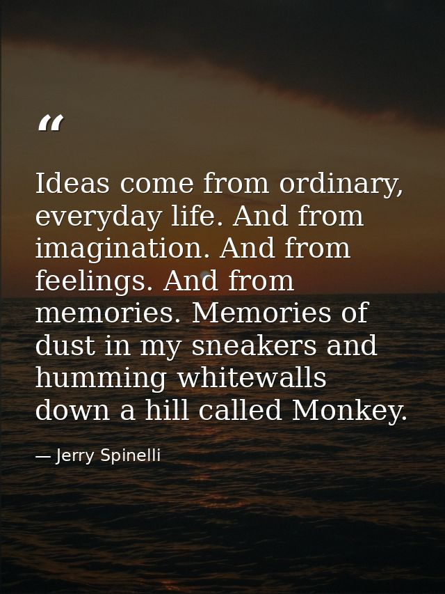 Ideas come from ordinary, everyday life. And from imagination. And from feelings. And from memories. Memories of dust in — Jerry Spinelli