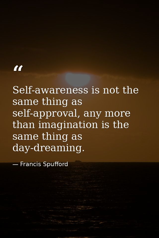 Self-awareness is not the same thing as self-approval, any more than imagination is the same thing as day-dreaming. — Francis Spufford