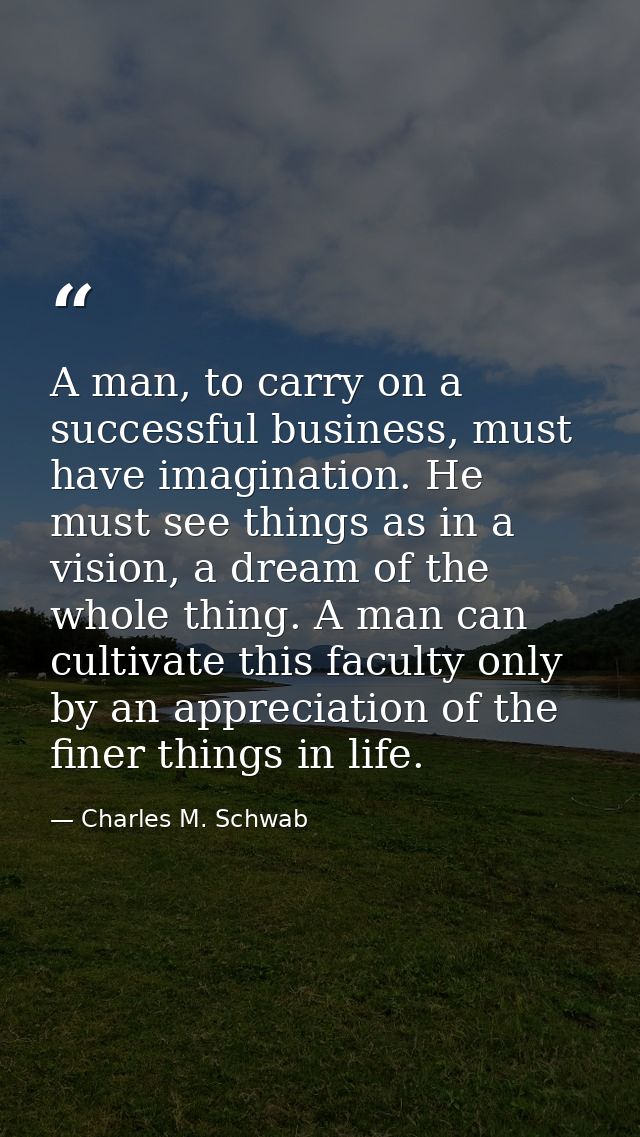 A man, to carry on a successful business, must have imagination. He must see things as in a vision, a dream of the whole — Charles M. Schwab