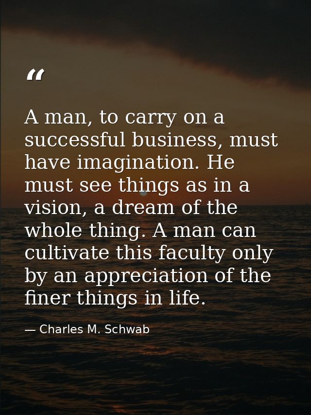 A man, to carry on a successful business, must have imagination. He must see things as in a vision, a dream of the whole — Charles M. Schwab