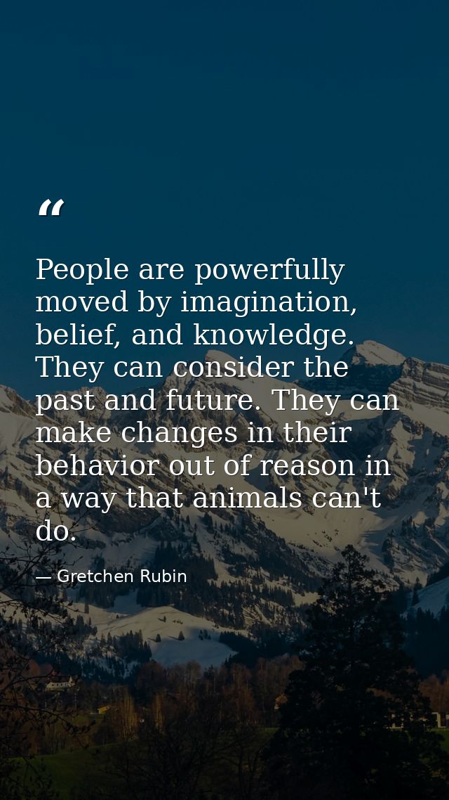 People are powerfully moved by imagination, belief, and knowledge. They can consider the past and future. They can make  — Gretchen Rubin