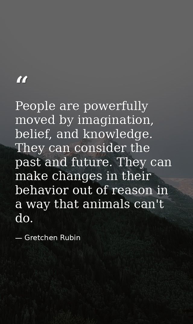 People are powerfully moved by imagination, belief, and knowledge. They can consider the past and future. They can make  — Gretchen Rubin