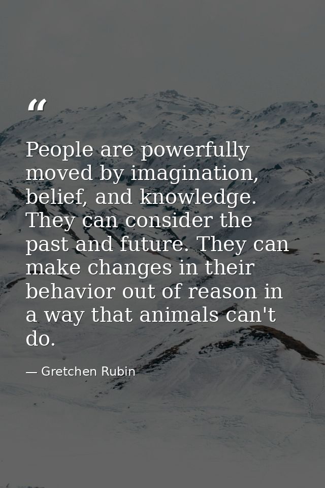 People are powerfully moved by imagination, belief, and knowledge. They can consider the past and future. They can make  — Gretchen Rubin